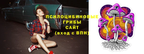 ECSTASY Алексеевка