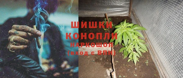 тгк Нязепетровск