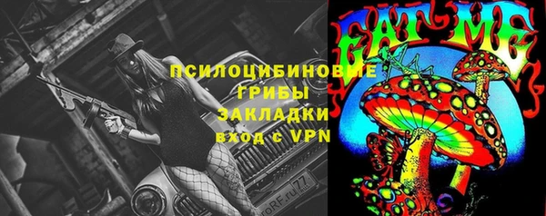 прущие крисы Алзамай