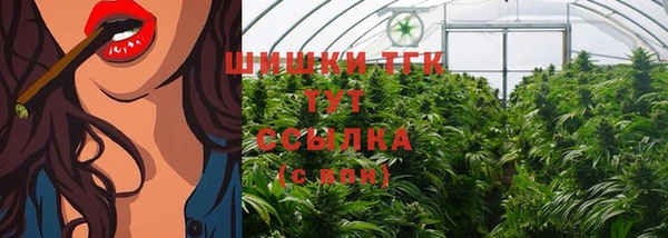 прущие крисы Алзамай