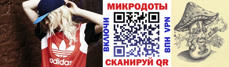 Галлюциногенные грибы прущие грибы  как найти наркотики  Томск 